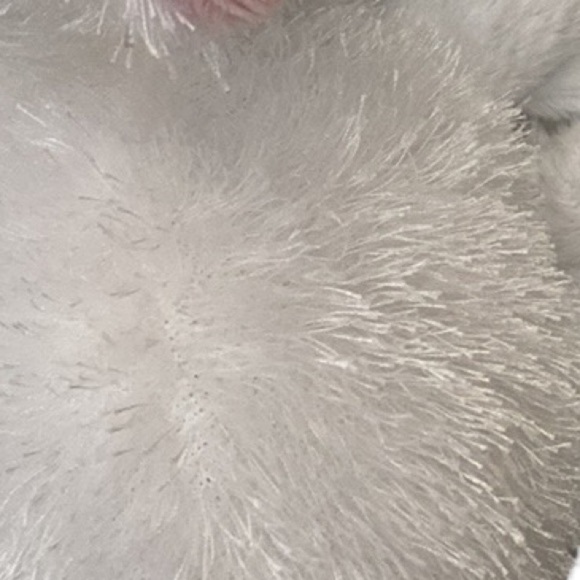 Ganz Webkinz White Rabbit Plush Toy Retired Stuffed Animal Collectible Size OS - Picture 9 of 16